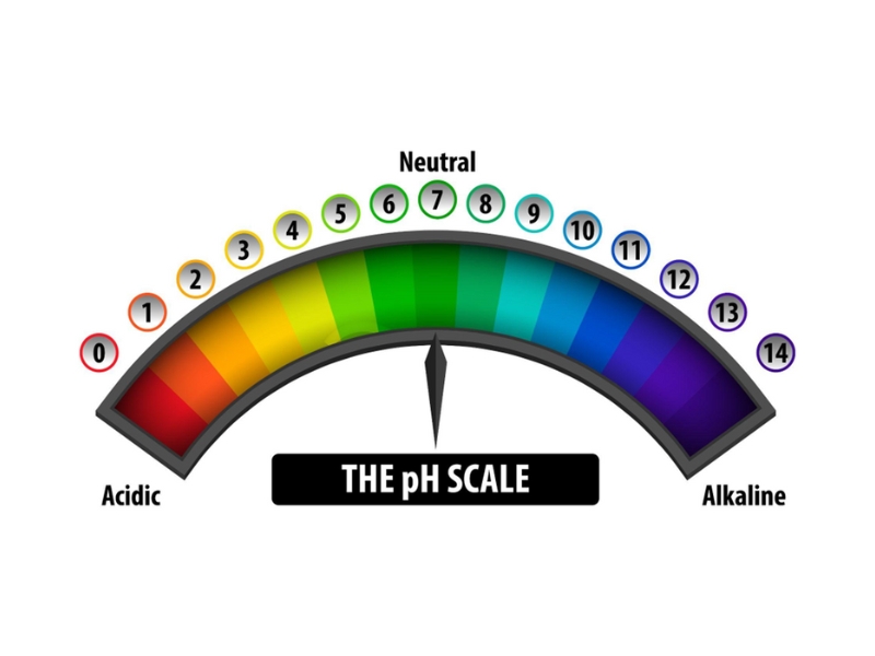 pH Equilibrado na Pele
